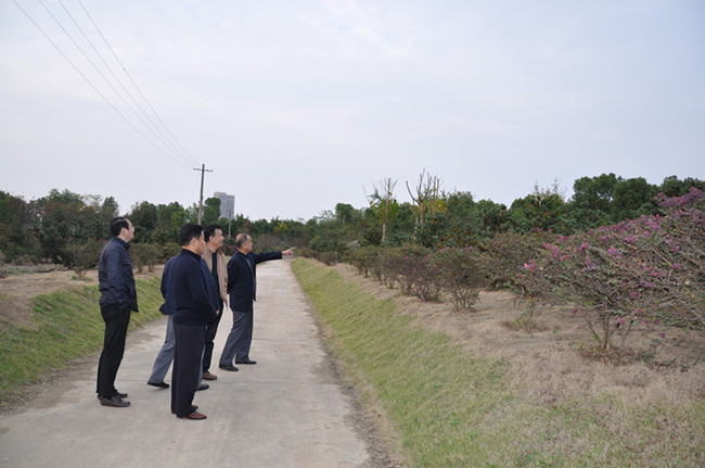 九游会老哥必备的交流社区_论坛帖吧