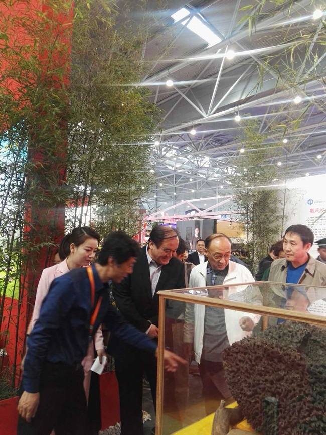 九游会老哥必备的交流社区_论坛帖吧