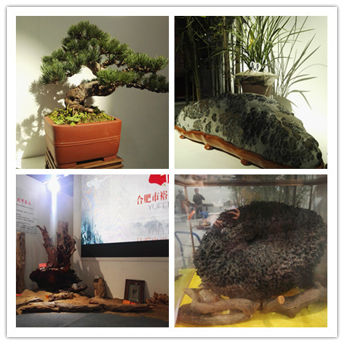 九游会老哥必备的交流社区_论坛帖吧