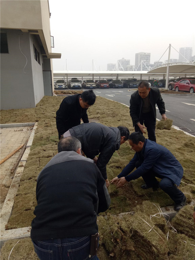 九游会老哥必备的交流社区_论坛帖吧