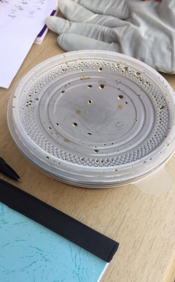 九游会老哥必备的交流社区_论坛帖吧