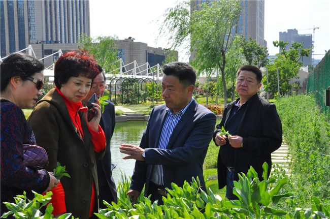 九游会老哥必备的交流社区_论坛帖吧