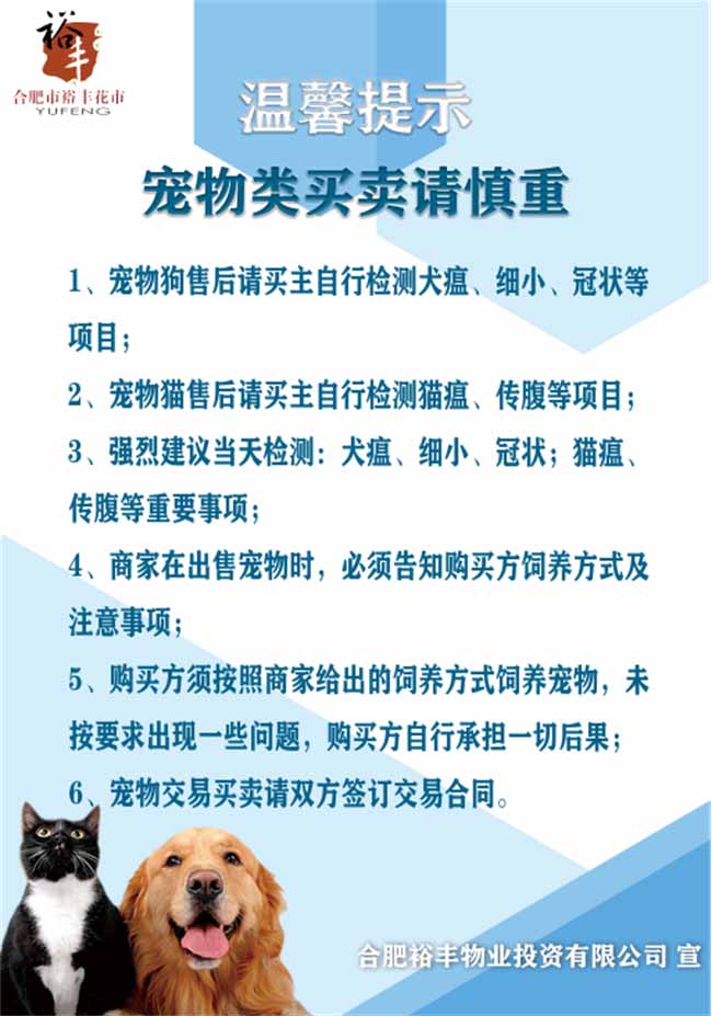 九游会老哥必备的交流社区_论坛帖吧