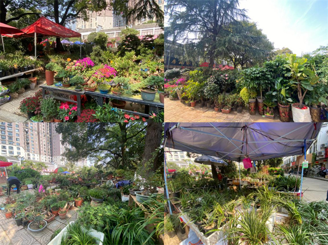 九游会老哥必备的交流社区_论坛帖吧