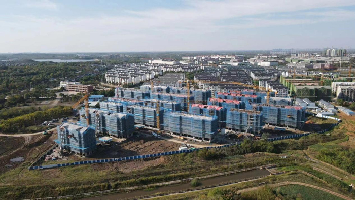 九游会老哥必备的交流社区_论坛帖吧