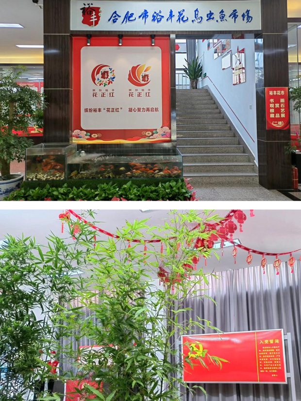 九游会老哥必备的交流社区_论坛帖吧