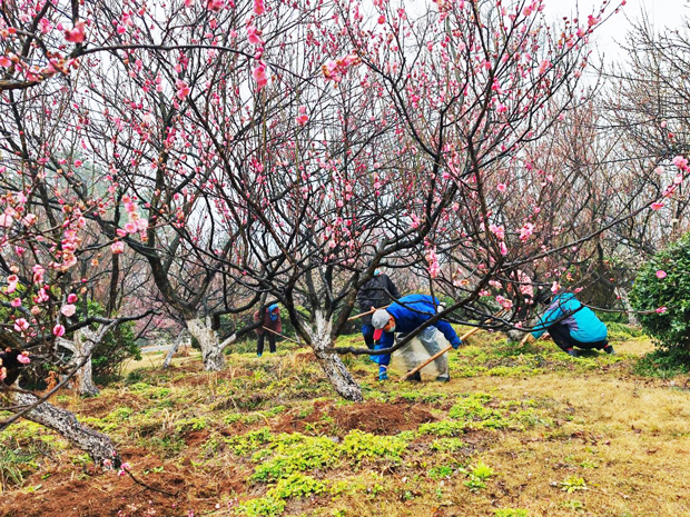 九游会老哥必备的交流社区_论坛帖吧